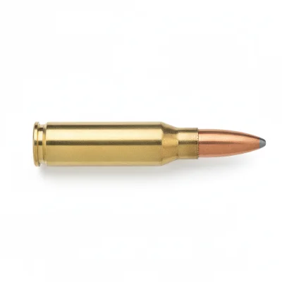 .308 Winchester